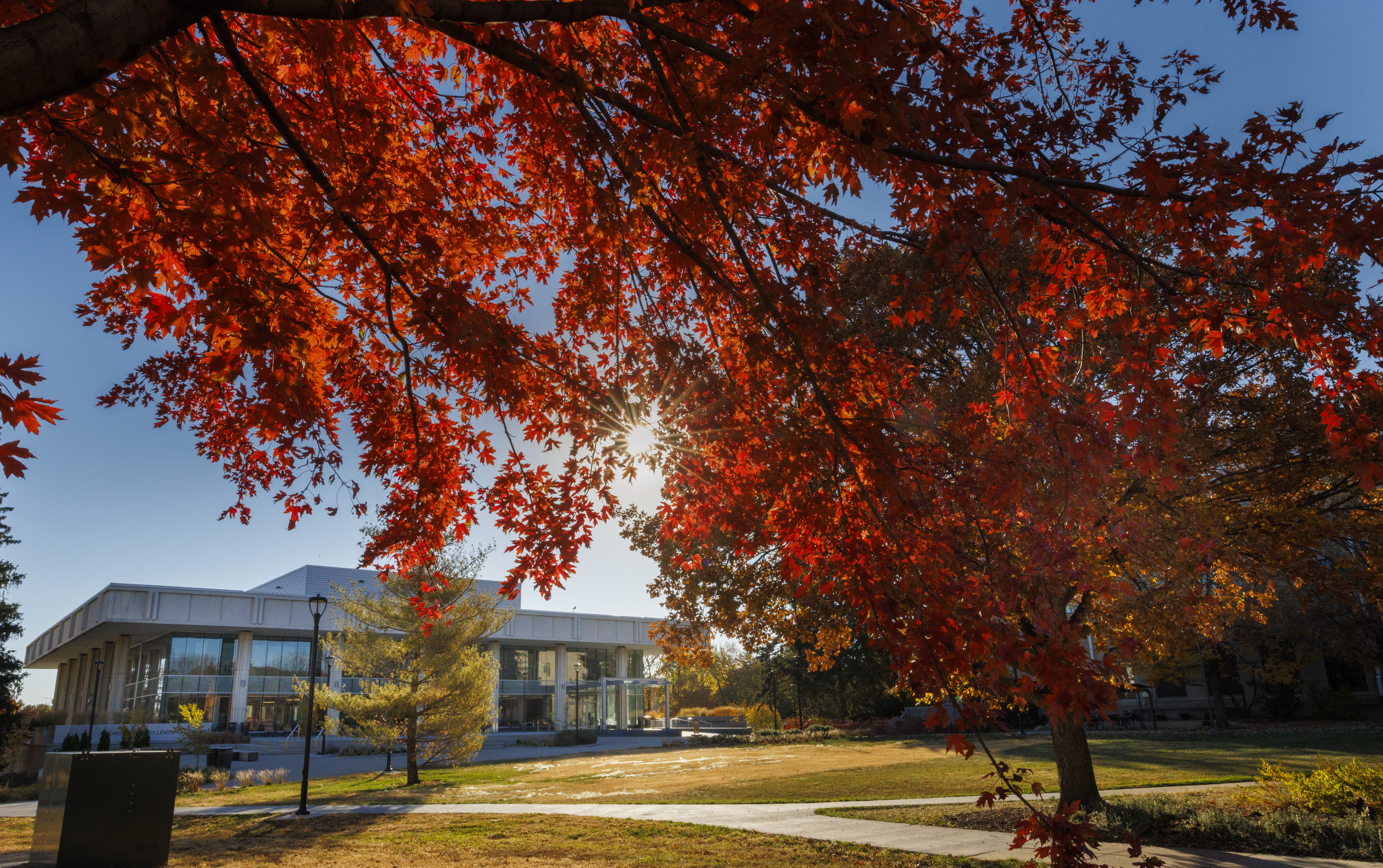 east-campus-fall