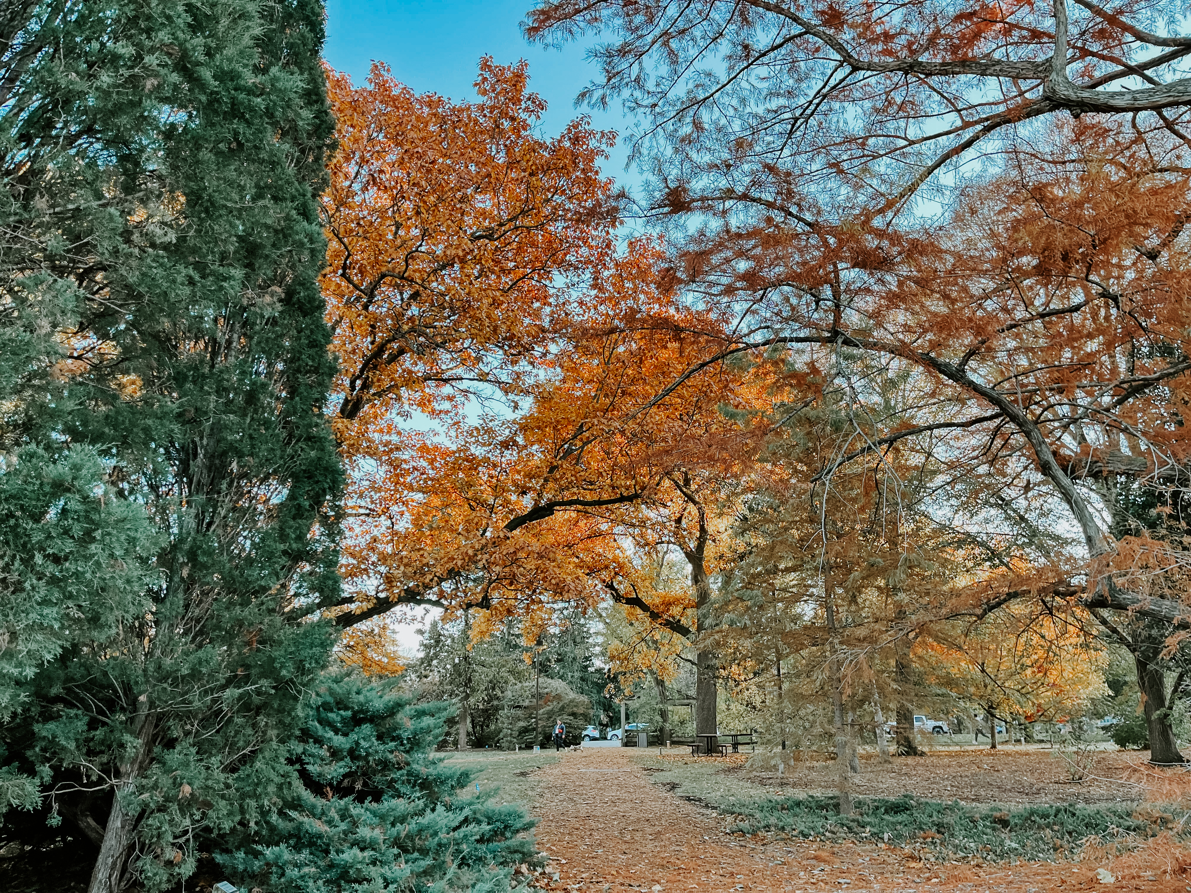 east campus fall