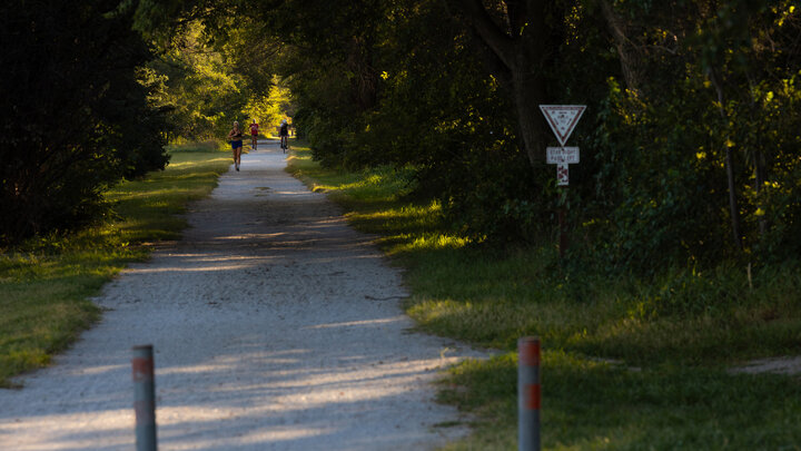 A cyclist and two runners use a tree-lined trail.