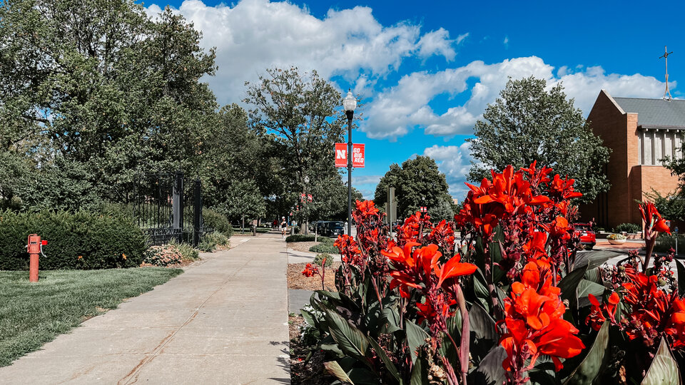 campus photo
