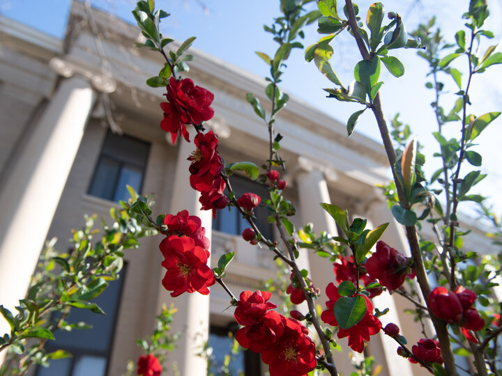 east-campus-spring